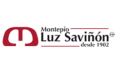 Logotipo de Fundación Luz Saviñón